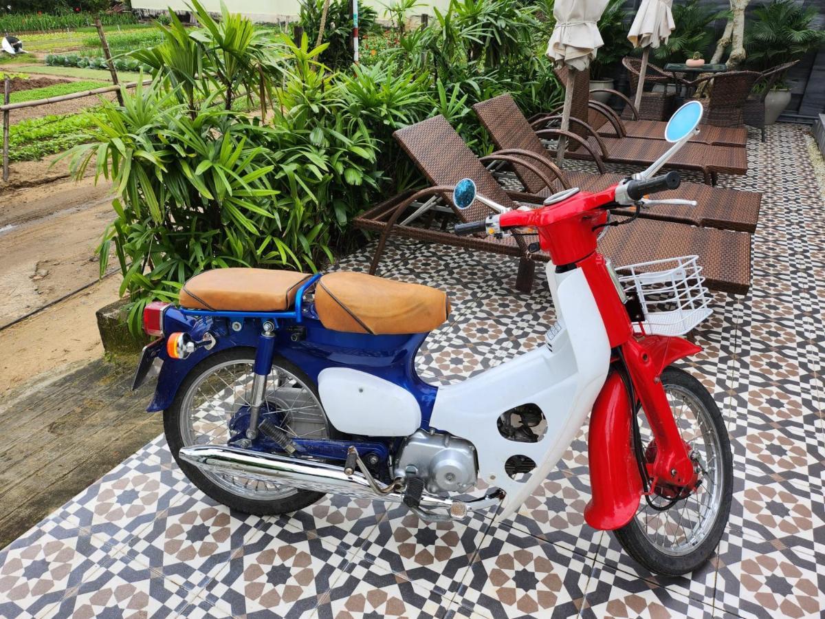 La Maison D'Indochine Hội An Ngoại thất bức ảnh