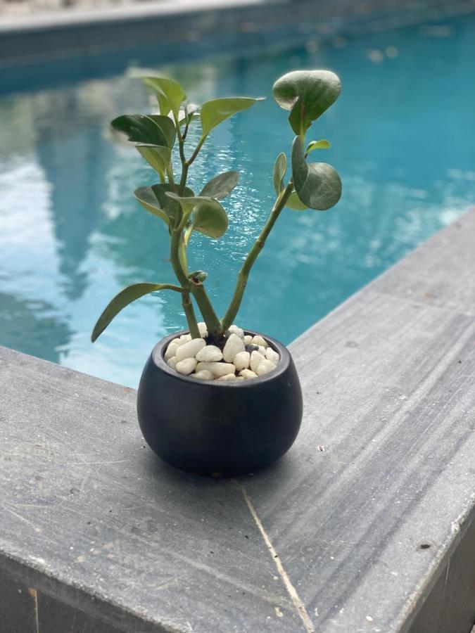 La Maison D'Indochine Hội An Ngoại thất bức ảnh