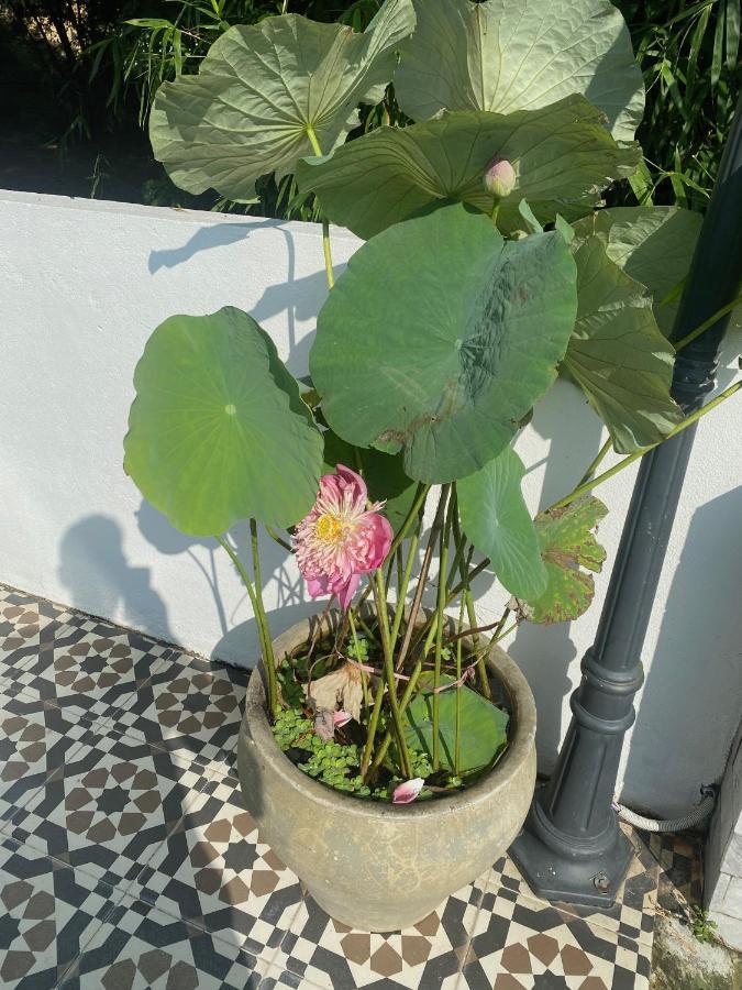 La Maison D'Indochine Hội An Ngoại thất bức ảnh
