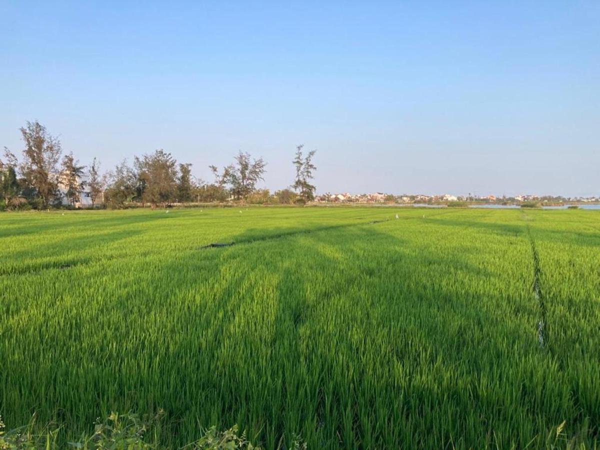 La Maison D'Indochine Hội An Ngoại thất bức ảnh