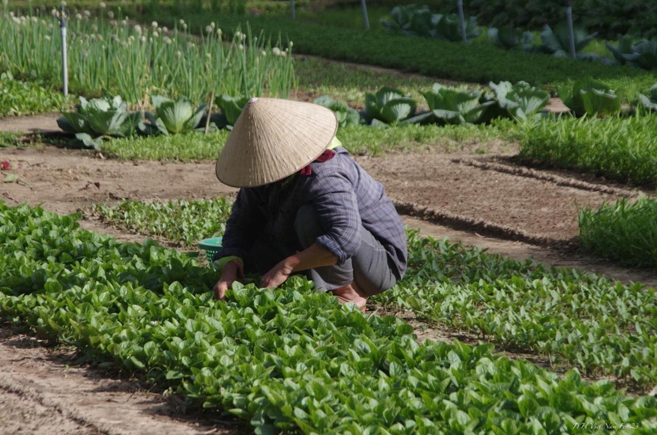 La Maison D'Indochine Hội An Ngoại thất bức ảnh