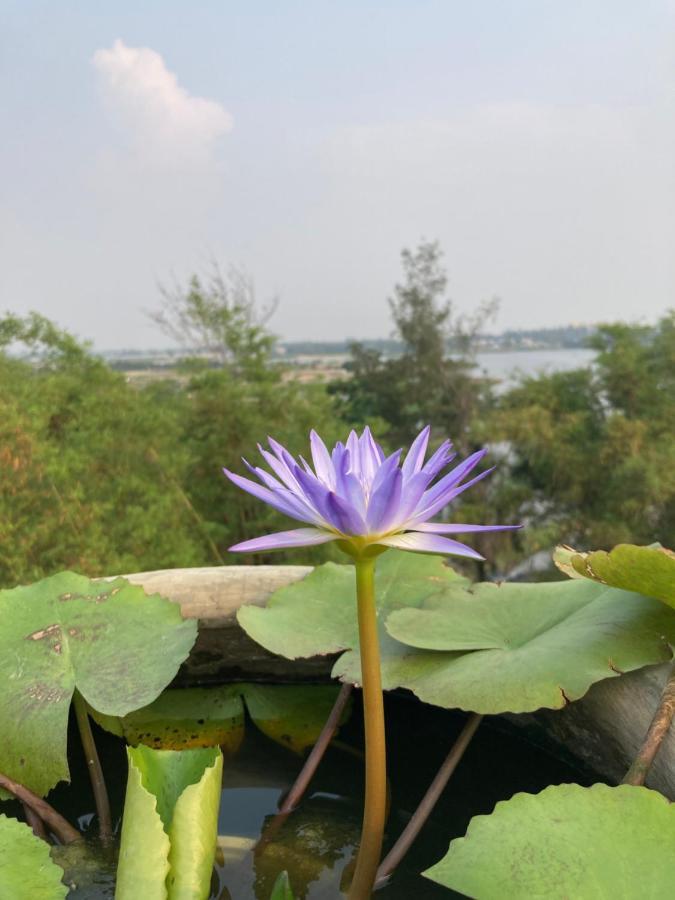 La Maison D'Indochine Hội An Ngoại thất bức ảnh
