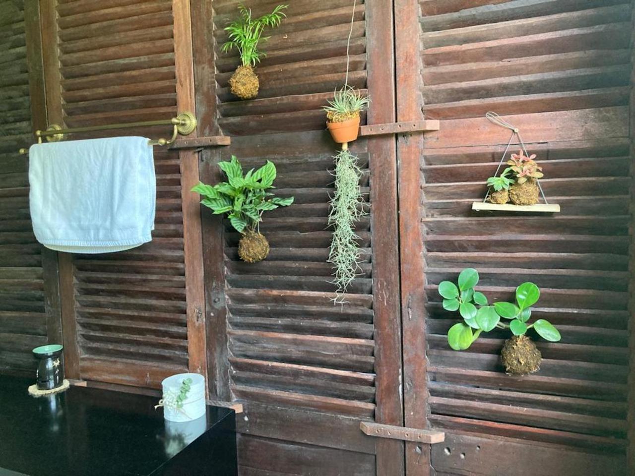 La Maison D'Indochine Hội An Ngoại thất bức ảnh